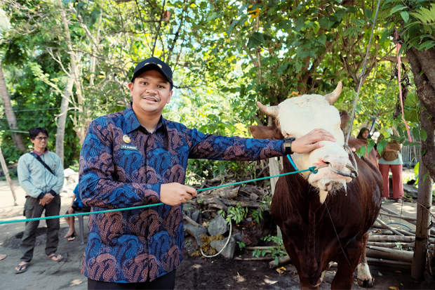 Bupati Bantaeng Uji Nurdin Terima Sapi Kurban 802 Kg dari Presiden Prabowo