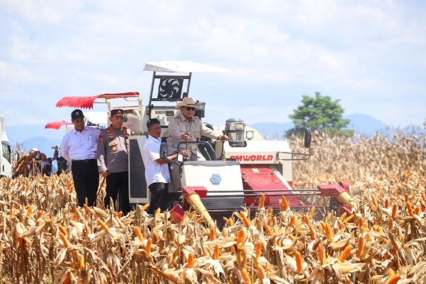 Didampingi Mentan, Presiden Prabowo Pimpin Panen Raya Jagung di Kalbar