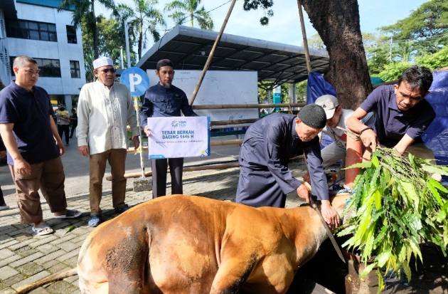 PLN UIP Sulawesi Salurkan 770 Kg Daging Kurban & Gelar Khitanan Massal Gratis