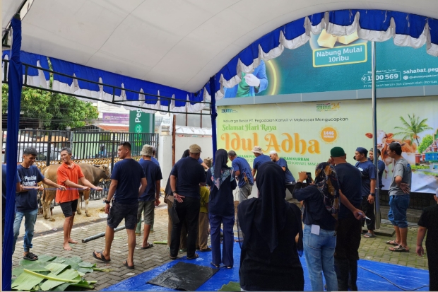 Wujud Kepedulian Moment Idul Adha, Pegadaian Makassar Salurkan 80 Ekor Hewan Kurban