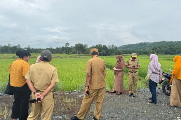 Tim Kementan RI Tinjau Potensi Cetak Sawah 10.000 Ha di Luwu Timur