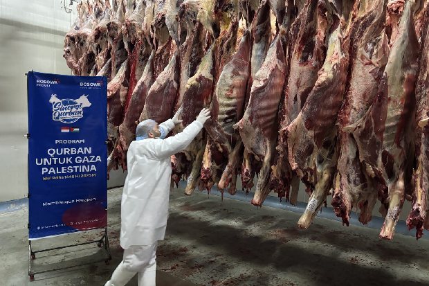 Bosowa Peduli Salurkan Hewan Qurban untuk Warga Gaza Palestina di Tengah Situasi Krisis