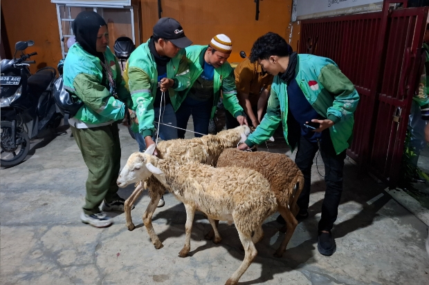 Semarak Idul Adha, Grab Bagikan Ratusan Ekor Kambing ke Mitra Pengemudi
