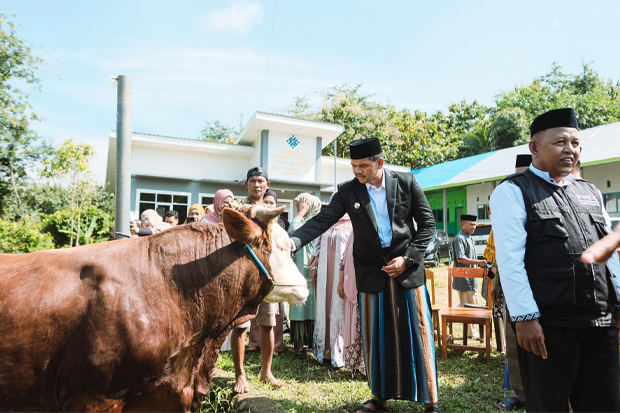 Usai Salat Idul Adha, Bupati Uji Nurdin Serahkan Sapi Kurban Presiden Prabowo ke Warga