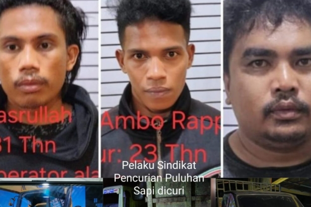 Polisi Bekuk Sindikat Pencuri Sapi di TPA Tamangapa