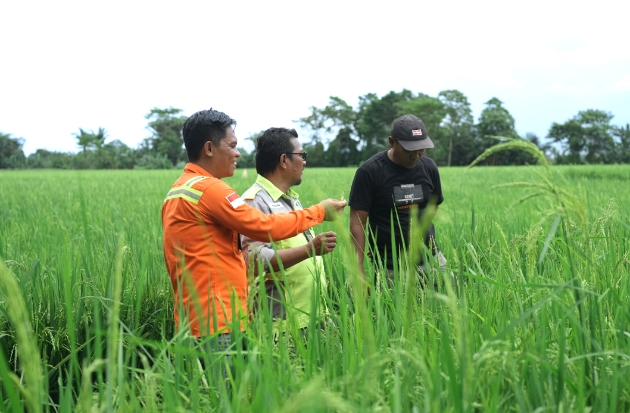 PT Vale Perkuat Ekonomi Lokal Lewat Program LRP di Pomalaa