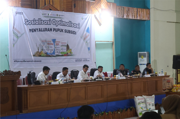Penyaluran Pupuk Subsidi Tepat Waktu Tingkatkan Produktivitas Pertanian di Pinrang