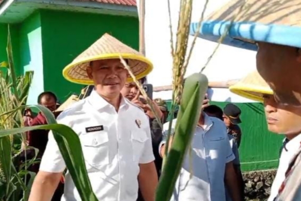 Irwil III Itwasum Polri Tinjau Lahan Jagung Binaan Polres Jeneponto