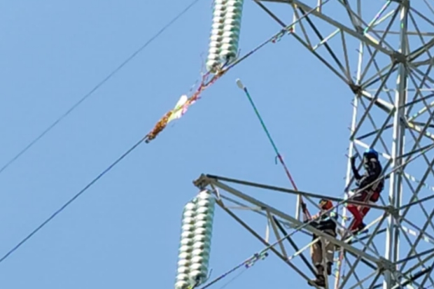 Petugas PLN ULTG Jeneponto Berjibaku Turunkan Layangan di SUTT