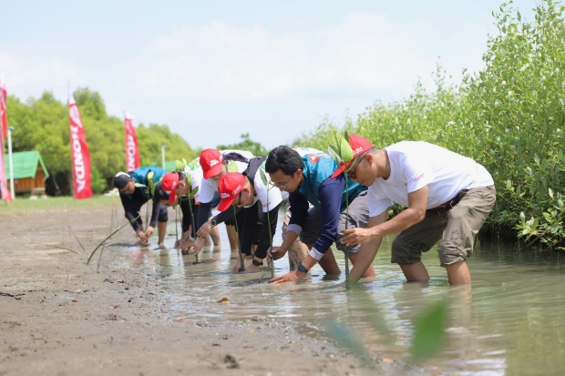 Langkah Hijau AHM di Hari Mangrove Sedunia