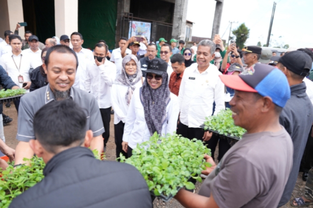 Pemprov Sulsel-Pemkab Gowa Perkuat Komoditas Kentang di Dataran Tinggi