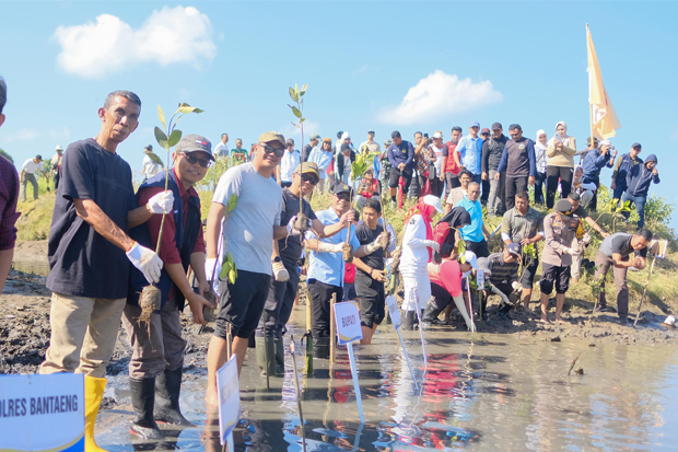 Bupati Uji Nurdin Apresiasi Penanaman 5.000 Bibit Mangrove oleh Mahasiswa KKN Unhas