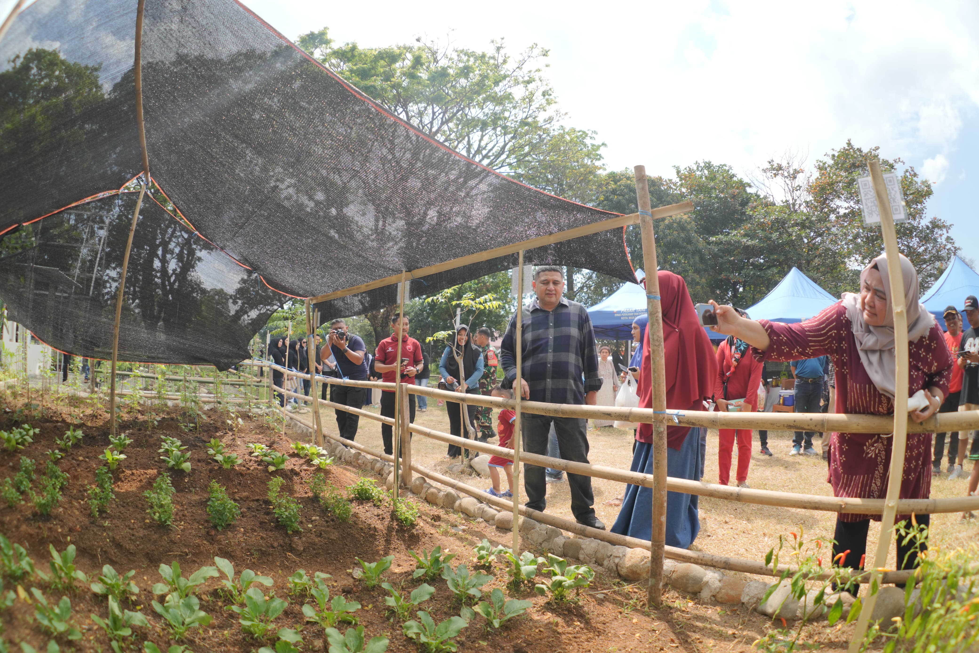 Pemkot Makassar Luncurkan Program Urban Farming, 6 Ribu RT Dilibatkan