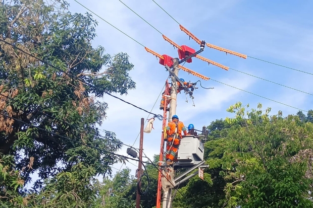 PLN Imbau Jaga Jarak Atribut Kemerdekaan dari Jaringan Listrik