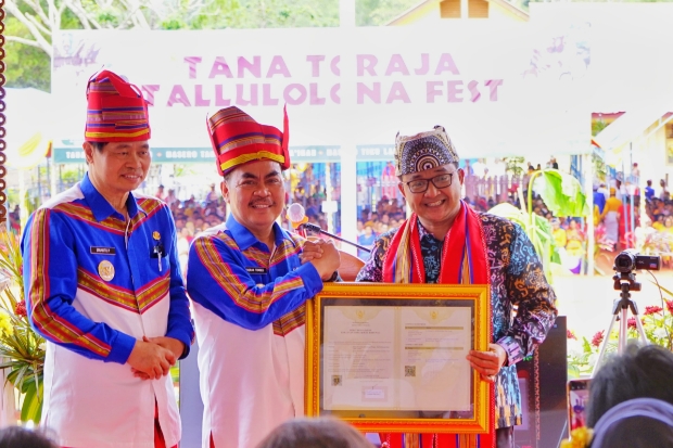 Tana Toraja Resmi Miliki Hak Kekayaan Intelektual Komunal Tedong Bonga