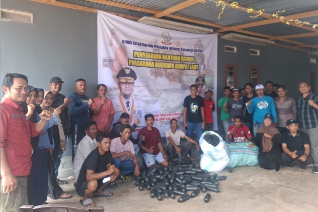 Pemprov Sulsel Dorong Ekonomi Biru Lewat Bantuan Bibit Rumput Laut di Luwu Raya