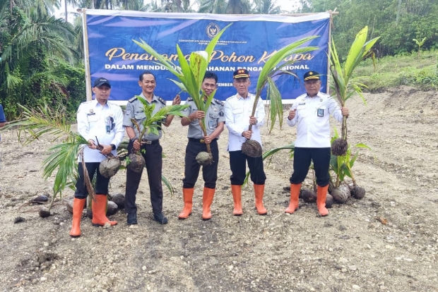 Dukung Ketahanan Pangan, Imigrasi Polman & Rutan Majene Tanam Pohon Kelapa Serentak