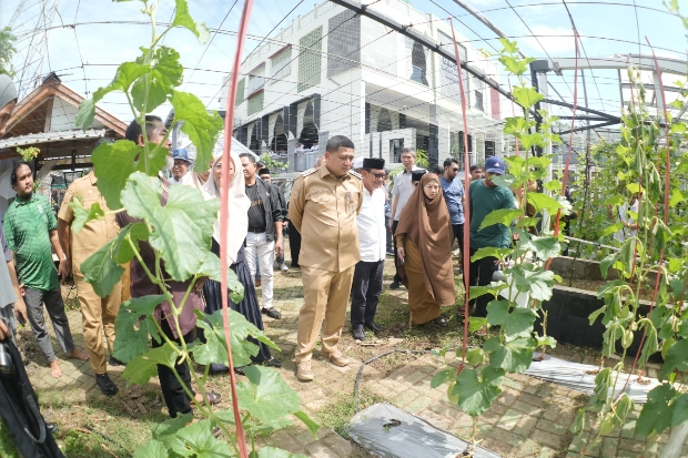 Wali Kota Puji Inisiatif Gerakan Urban Farming Warga Bukit Baruga