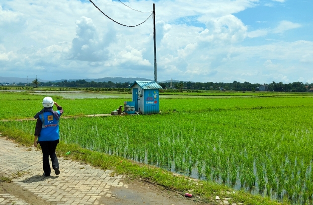 Serapan Pupuk Subsidi di Maros Rendah, Baru 47 Persen Tersalur