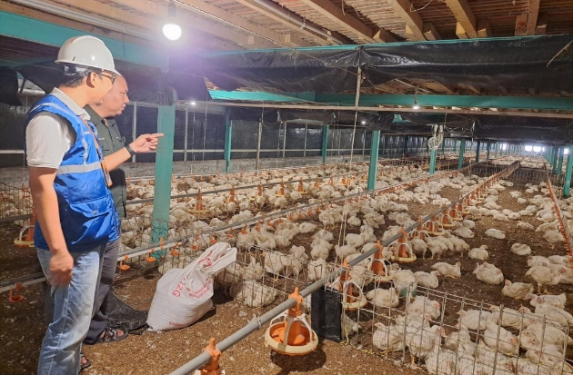 Dukung Daya Beli Masyarakat, Pemerintah Jaga Tarif Listrik Tetap Terjangkau Sepanjang 2025