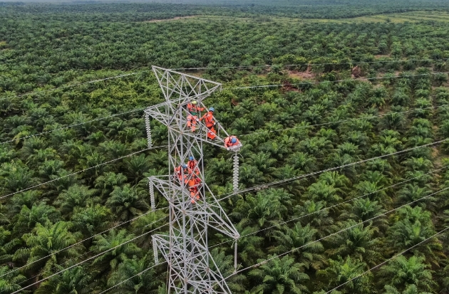 PLN Dorong Interkoneksi ASEAN Power Grid untuk Percepatan Transisi Energi Bersih