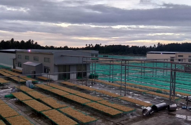 Dukung Ekonomi Daerah, PLN Setrum Industri Rumput Laut 3.465 kVA di Pinrang