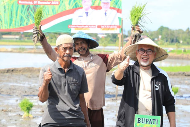 Kolaborasi Unhas, Pemkab Bantaeng Tanam Perdana Penangkaran Padi Genjah