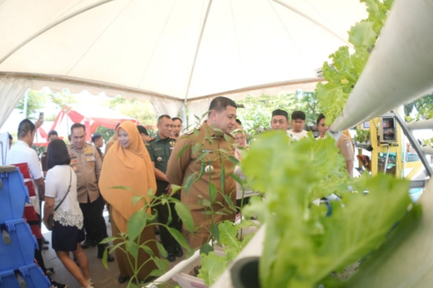 Wali Kota Munafri Ingin Urban Farming Solusi Pertanian Kota, Penopang Pangan