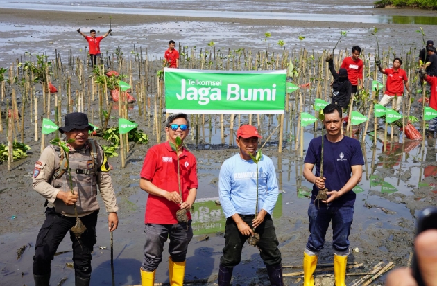 Telkomsel & AKADS Tanam 1.000 Bibit Mangrove di Pesisir Pangkajene