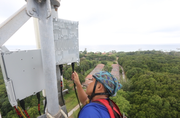 XLSMART Tumbuh Pesat di Kuartal III 2025, Laba Melonjak 288%