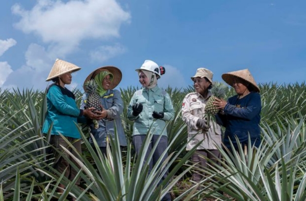 Jejak Pemberdayaan PT Vale: Kebun Nanas Wasuponda & Pujasera Towuti