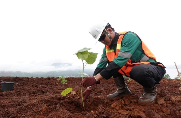 Komitmen PT Vale Kebut Transformasi Hijau di Tengah Tantangan Lingkungan