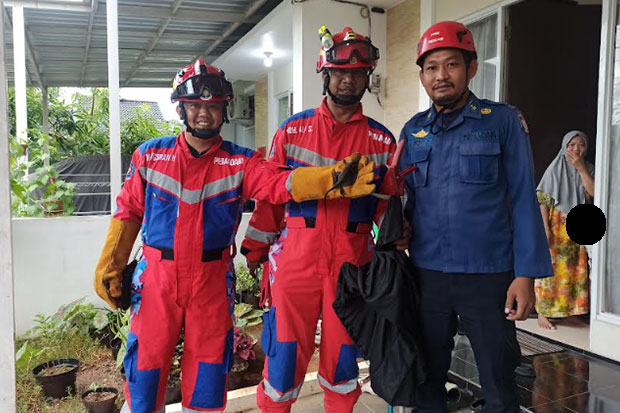 Biawak Bikin Panik Warga, Damkar BTP Makassar Respons Cepat Lakukan Evakuasi