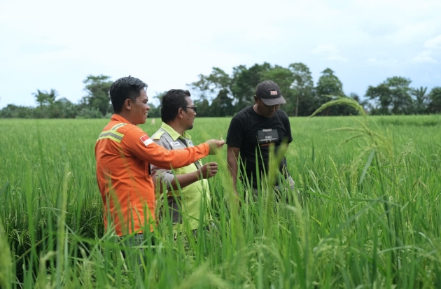 Mengenal Program LRP dari PT Vale, Langkah Nyata Perkuat Ekonomi Lokal