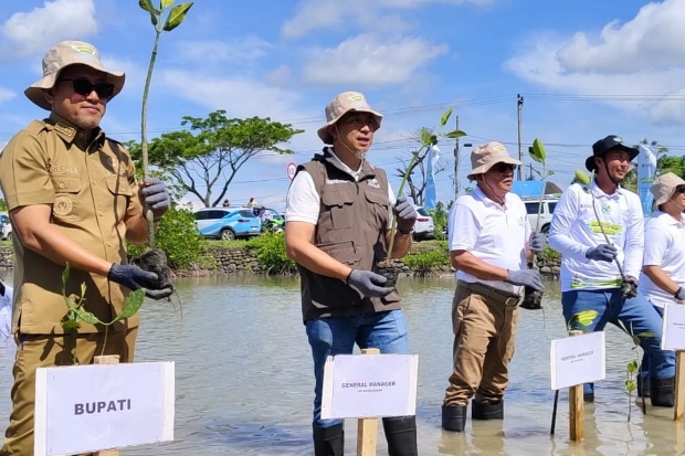 Bupati Paris Yasir Puji Inisiatif PLN Tanam Ribuan Pohon Mangrove di Bontorannu