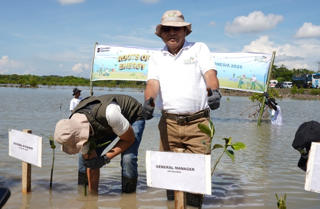 PLN Tanam 10.150 Pohon untuk Perkuat Ketahanan Pesisir Jeneponto