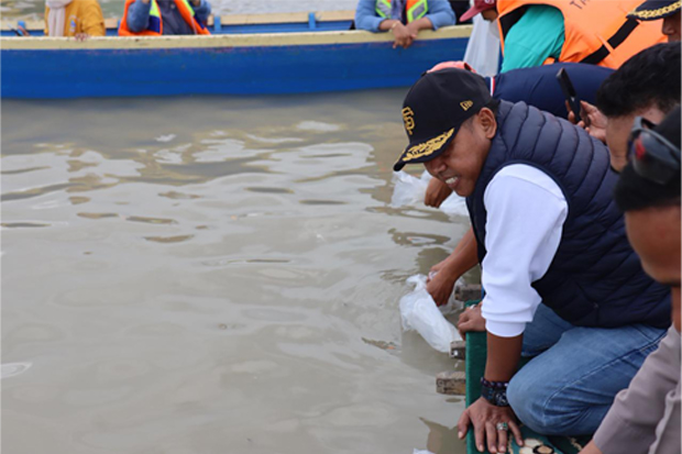 Pemkab Wajo Tebar Puluhan Ribu Bibit Ikan, Jaga Ekosistem Danau Tempe
