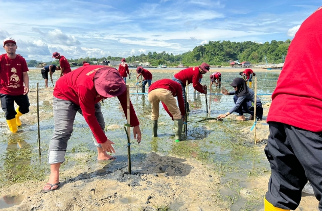 Pertamina Tanam 1.000 Mangrove di Kendari untuk Perkuat Ekosistem Pesisir