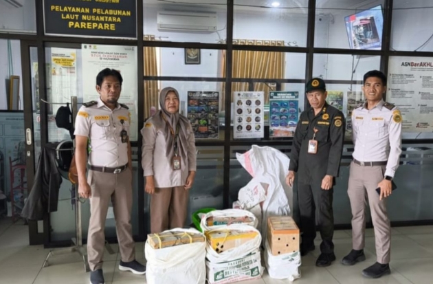 Karantina Sulsel Tahan 6 Ayam Tanpa Dokumen di Pelabuhan Parepare