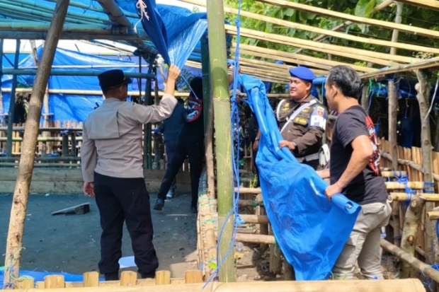 TNI–Polri Sikat Arena Judi Sabung Ayam di Bangkala Barat Jeneponto