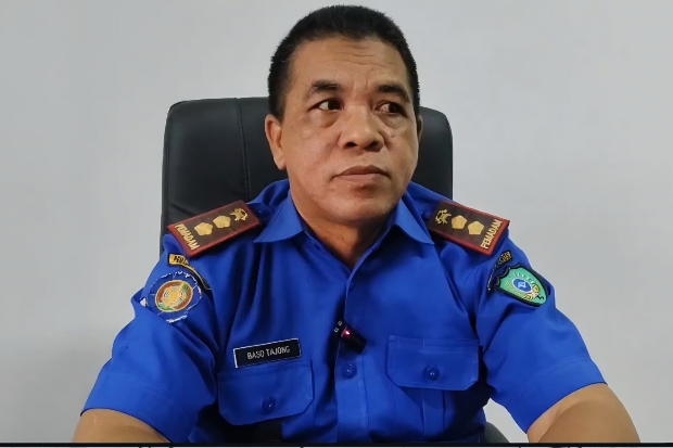 Wanita Diserang Ular Piton 7 Meter di Maros, Nyaris Diseret ke Rawa