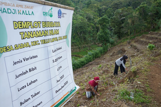LAZ Hadji Kalla Berhasil Tingkatkan Produktivitas dan Pendapatan Petani Lewat Program DBS