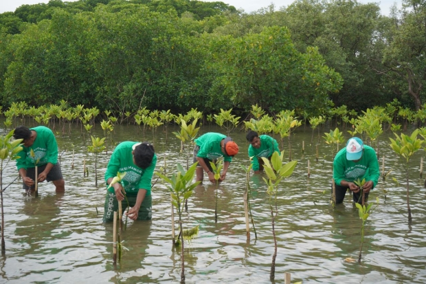 Lokasi CSR Aksi Mangrove Lestari KALLA Resmi Jadi Kawasan Konservasi