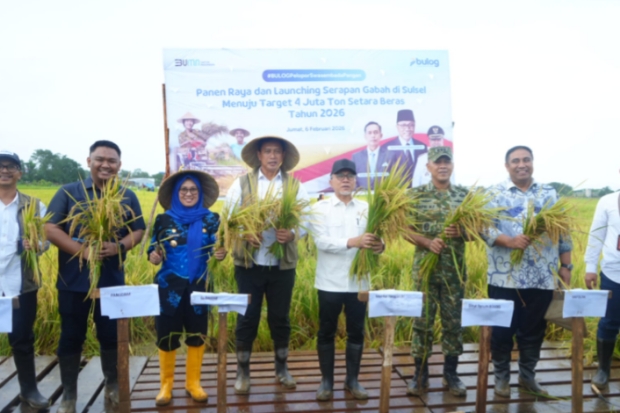 Menko Bidang Pangan Ikut Panen Raya di Maros