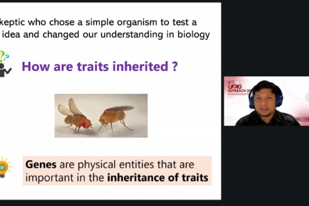 Fakultas Farmasi Unhas Perluas Riset Mahasiswa dengan Model Lalat Buah
