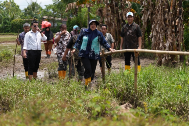 Rp4 Miliar Digelontorkan, Jalan Romang Tangayya Segera Diperlebar