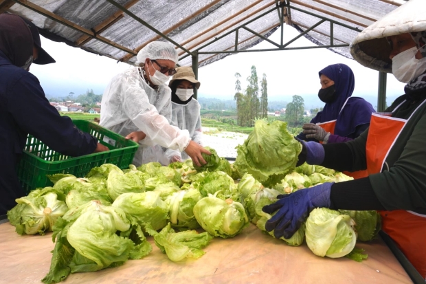 McDonald’s Dukung Peluang Lapangan Kerja Lintas Sektor Tumbuh Lebih dari Tiga Kali Lipat