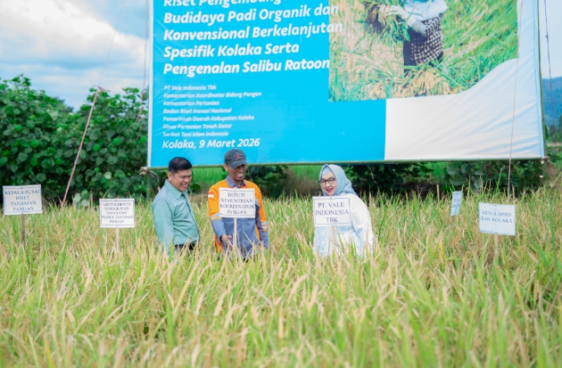 PT Vale Perkuat Ketahanan Pangan Lewat Panen Demplot Padi Berkelanjutan di Kolaka