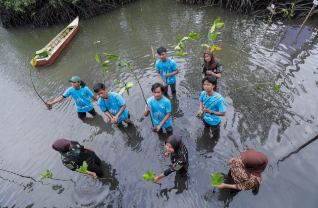 Inisiatif Vale Pulihkan Mangrove dan Hidupkan Pesisir Pasi-Pasi