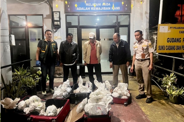 Karantina Sulsel Amankan Kepiting Kenari di Pelabuhan Soekarno-Hatta Makassar